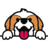 Connexion / Mon compte