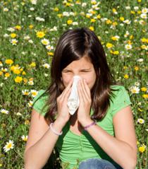 Hypoallergénique, quelles sont les caractéristiques ?