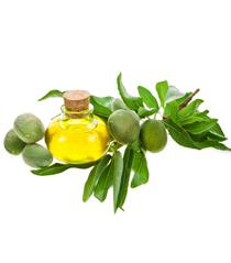 Les bienfaits de l'huile d'olive, trucs et astuces