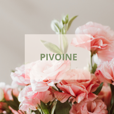 Pivoine - Corine de Farme