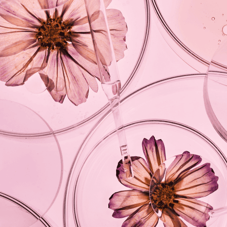 Visuel Clean Beauty