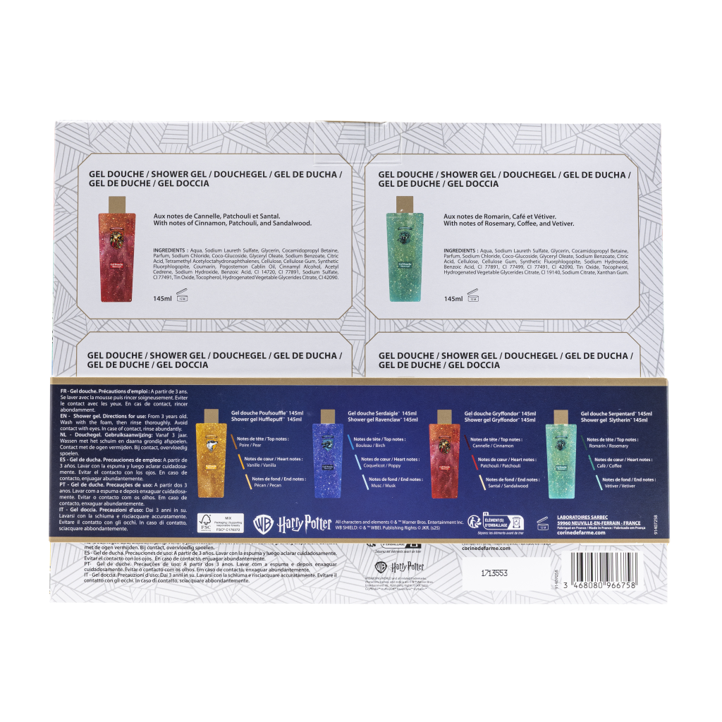 Coffret Harry Potter 4 maisons