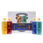 Coffret Harry Potter 4 maisons