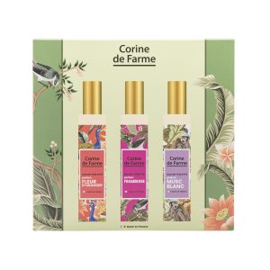 COFFRET SENTEURS VERT