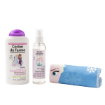 Coffret CORINE DE FARME LICENCE Frozen
