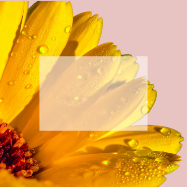 Eco-recharge crème douche surgras 0% pour bébé Corine de Farme