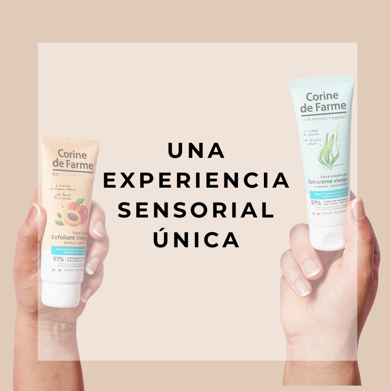 Experiencia sensorial CDF ES
