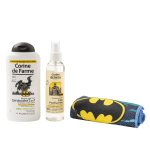 Coffret CORINE DE FARME LICENCE BATMAN