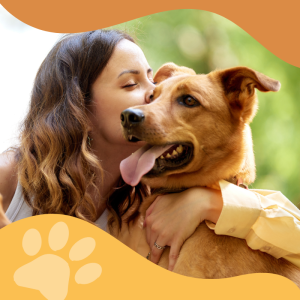 Comment prendre soin de son chien