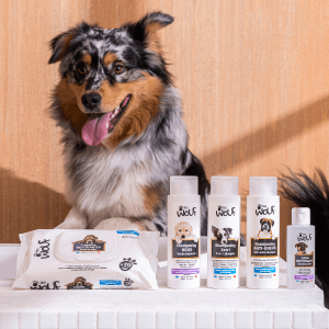 Choisir son shampoing pour chien