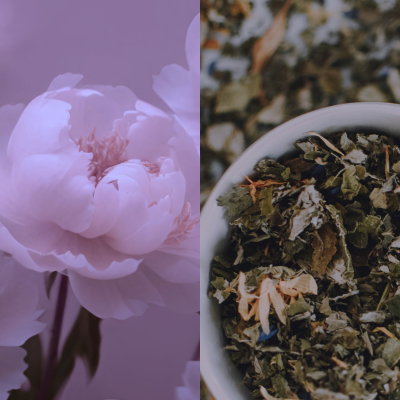 Ingrédients Pivoine Feuille thé V2